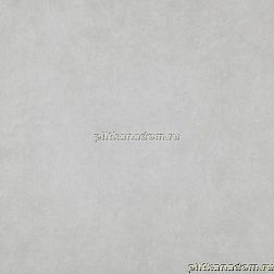 Paradyz Tero Silver Gres Polpoler Серая Полированная Напольная плитка 59,8x59,8 см
