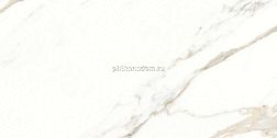 Gambini Aurea Calacatta Lev.Oro Керамогранит 60х120 см