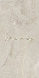 Enping Jingyen Breccia FBC60123P Rect Керамогранит 60x120 см