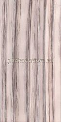 Cedit Policroma Valtoce Glossy 6mm Бежевый Глянцевый Керамогранит 120x240 см