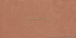 APE Ceramicas Argillae Coral Rect. A037668 Керамогранит 60x120 см